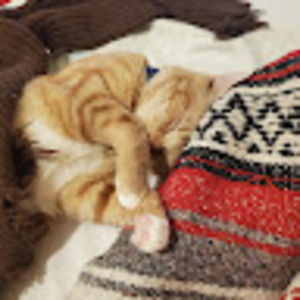 Meet your Posher, Mark